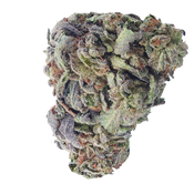 BC (AAA) PERMAFROST thumbnail 4