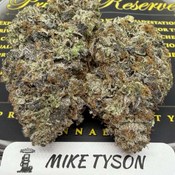 MIKE TYSON