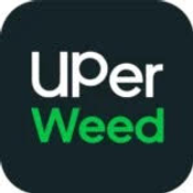 (28G) - Apple Runtz Hybrid | 4Oz Bulk Deal for $200 thumbnail 2