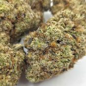 AAA+ Grape Jubilee 2oz for 180 thumbnail 2
