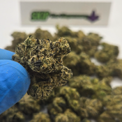 Purple Sherbet ON SALE thumbnail 1