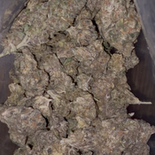 🍪🍬 Sour Biscotti AAA+  - | 2oz’s FOR $170 | SATIVA |