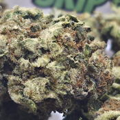 (NEW) A.T.F aka Alaskan Thunderf*%$ 🏔 ($75/Oz) 🔥  thumbnail 2