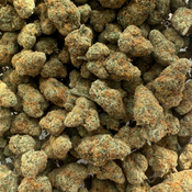 ASTRO POP 100OZ 2FOR180 4FOR340  thumbnail 2