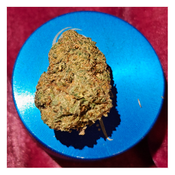 *NEW* Northern Lights (7g-$50/14g-$75/28g-$140)(THC 29%) thumbnail 2