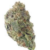 BC (AAA) PURPLE KUSH 