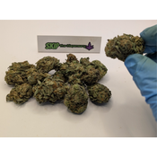 Black Cherry Gelato (2 Oz for 100) thumbnail 2