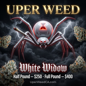 Half Pound - White Widow 𒌐🕸️🕷️Hybrid - 1 Pound Wholesale Weed for $400 LIMITED TIME thumbnail 1