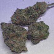 Raspberry Cough AAAA+