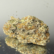 "Premium " Caviar Gold - Hybrid  - THC 32-34%