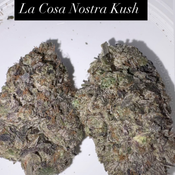 La Cosa Nostra
