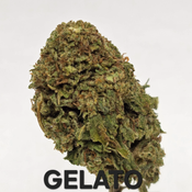 Gelato Indica Dominant 