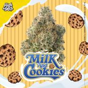 High 90s : Milk and Cookies 3.5g Flower