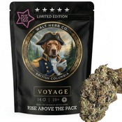 Pink Rockstar - Limited edition: Voyage