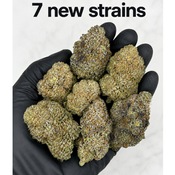 California Buds