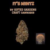 IT'S MINTZ - GIFTED GARDENS🎁 