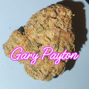 ? Gary Payton – Elite Hybrid Powerhouse