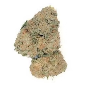 King Kush
