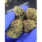 Cherry Kush