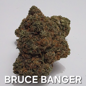 BRUCE BANGER SATIVA DOMINANT 