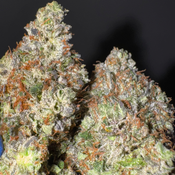 Amethyst Pink AAAA+  *OZ 160 2OZ 290*