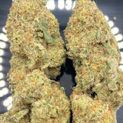 * NEW * Apple Turnover High Grade 