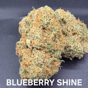 Blueberry Shine Indica Dominant 