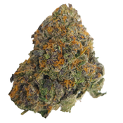 BC (AAAA) WHITE WALKER thumbnail 2