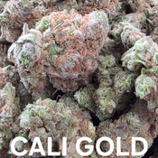 Cali Gold Indica Dominant 