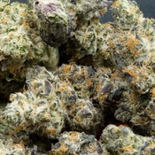 New Cream Soda 🥤 65$OZ 2For120$