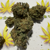 *******VIOLATOR KUSH****** thumbnail 3