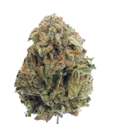 BC (AAA+) AFGHAN KUSH   thumbnail 4