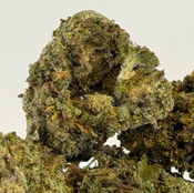 Blueberry Pancakes | Budget Buds | $70 an ounce | $100 for 2 ounces | $175 for 4 ounces | thumbnail 3
