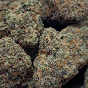 (NEW) Pineapple OG  **$110oz**  SATIVA thumbnail 3
