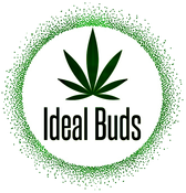 IDEAL BUDS