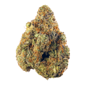 Hindu Kush AAAA+