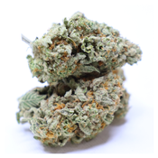 DEATH STAR OG AAA+ NOW 120