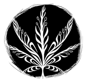 FIVEPOINT CANNABIS