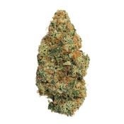 Mango Haze
