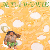 MAUI WOWIE SHATTER AAAAA+ thumbnail 1