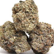 $60 OZ - Purple Queen OG