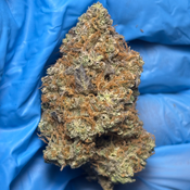 FROZEN BLUEBERRY bred by Frostymedfarms506