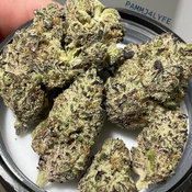 Grape Gasoline Supreme