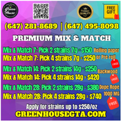Premium Mix & Match
