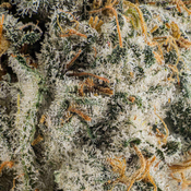 ( AAAA ) Blue Lobster ( LSO ) 29% THC |  $204/Oz  thumbnail 2