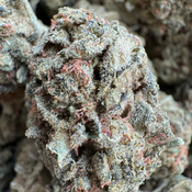 GELATO *FLASH SALE* $75oz 2for$140 4FOR$260 8for$500