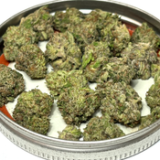 $100 Oz — Death Valley Smalls🌵⛽️ (New) 
