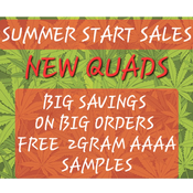 HIGH CITY CANNABIS