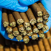 Hand-Rolled Chamomile 2 Gram Blunt (Cereal Milk) thumbnail 2