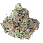 BC (AAA) ORANGE CRUSH thumbnail 2